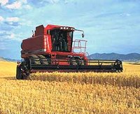 Deuxième salon du blé : 1,2 million de quintaux attendu