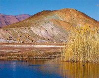 Les « Verts » de Ouargla donnent l'exemple