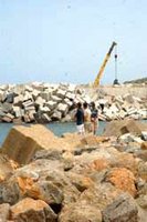 « Le site ne présente pas d'intérêt écologique »