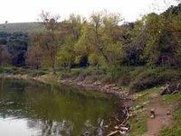 Une « vague verte » pour  la protection de la nature