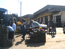 L'informel persiste et signe à Sayada