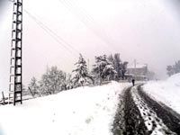 Des villages isolés de SETIF et de BORDJ BOU-ARRERIDJ résistent grâce à la solidarité En attendant l'aide de l'Etat