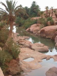 LES ZONES HUMIDES EN ALGERIE