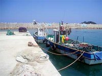 Le secteur de la pêche passé au crible