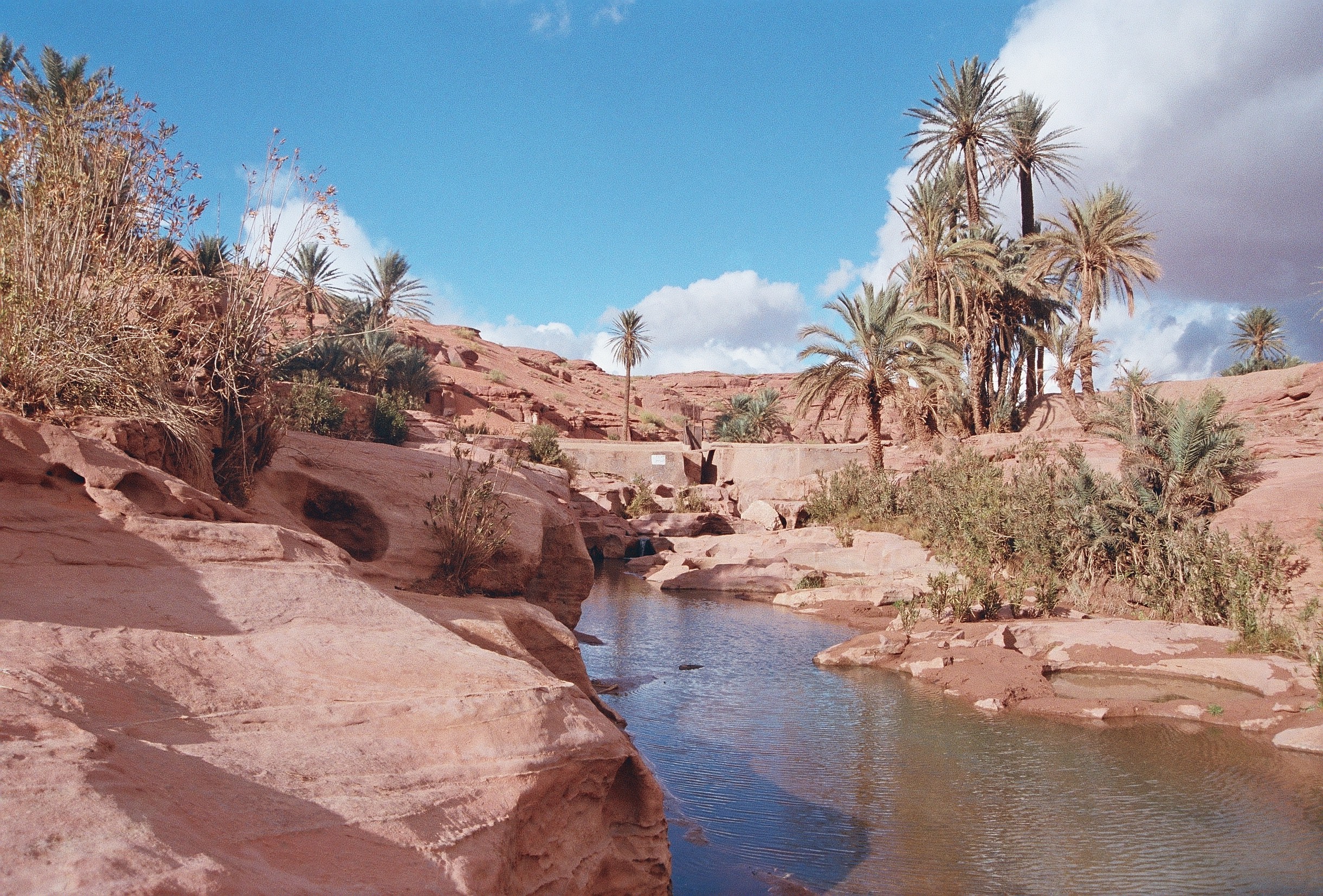 L'oasis de Tiout et Moghrar
