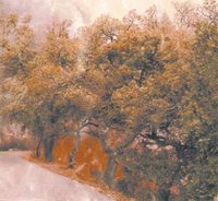 7 hectares de maquis et de broussailles ravagés par le feu