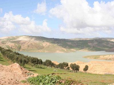 La prise en charge de la plaine du Moyen-Chélif en bonne voie Dernière phase du projet de réaménagement et de protection du périmètre