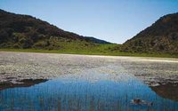 Parc national de Chréa : Le lac Edhaïa proposé au classement Ramsar des zones humides