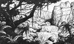 Mohamed Naâman Bey (1811 - 1814)