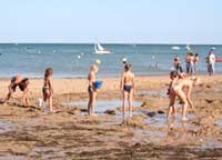 Des vacances pour 1600 enfants : Sur fond d'appréhensions