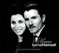 Célébration de la journée de l'artiste : Kamel Hamadi honoré