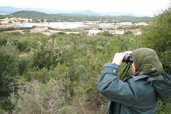 Algérie - Les syndicats des secteurs de l'habitat et des forêts montent au créneau