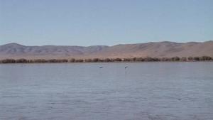 Le site de Oglat Ed Daïra