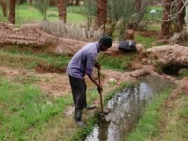 La biodiversité une source de richesse pour l'homme