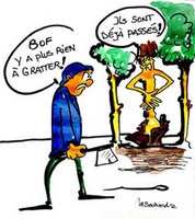 La production du liège en chute libre