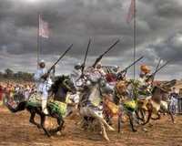 À Mostaganem, on n'achèvera pas les chevaux