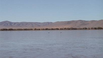 Le site de Oglat Ed Daïra