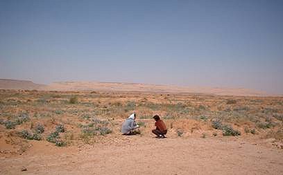 La région de Taghit