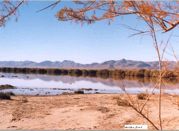 Etude du projet de classement du site de Oglat Ed Daira en aire protégée