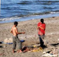 La baie d'Alger comme vous ne l'avez jamais vue