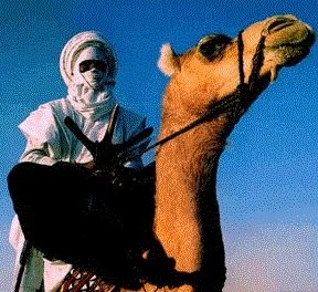 Le costume traditionnel du Hoggar