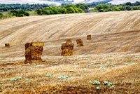 Une saison prometteuse