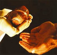 Les malades algériens se rendent à l'étranger