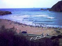 Le projet touristique de Djilali Mehri à l'étude