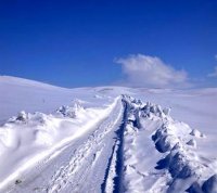 Trente-sept tronçons routiers coupés à la circulation dans neuf wilaya (ministère de l'Intérieur)