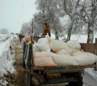 Solidarité tous azimuts envers des mechtas encore isolées par la neige dans l'Est du pays