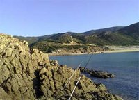 Les estivants convergent vers Sidi Akacha