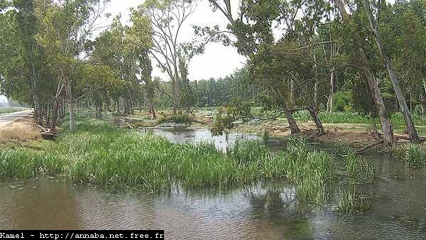 Le Parc National d'El Kala