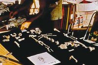 Lucy débarque à Alger !