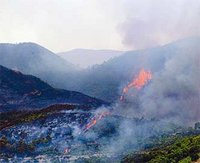 De plus en plus de foyers