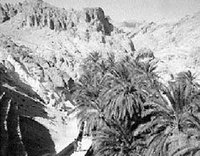 Développer l'utilisation des eaux salées