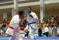 Bilan mitigé des athlètes algériens