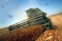 1,5 million de quintaux  de céréales déjà engrangés