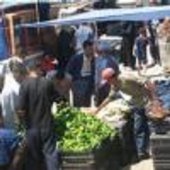 ترحيل عدد من التجار الفوضويين بالمدية