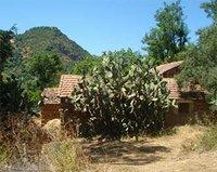 Les Ath Slimane dénoncent l'abandon