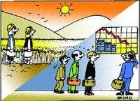 Récolte céréalière record en 2009 en Algérie : La production de blé fait oublier la chute des prix du pétrole