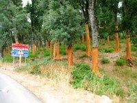 La résistance se fait légère