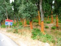 La résistance se fait légère