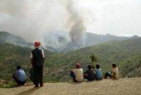 Feux de forêt à Tipaza : Insouciance des citoyens et des élus