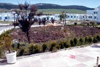 Hôpital psychiatrique de Aïn Abassa : « L'asile » qui revient de loin