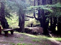 Saison estivale à Médéa : Virée dans la fraîcheur du sud de l'Atlas blidéen