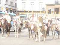 Sidi Amar : La wadaa ressuscitée