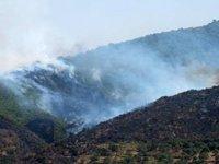 L'été de tous les maux