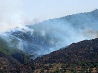L'été de tous les maux