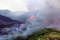 Saison estivale 2009 : Multiplication des incendies de forêt