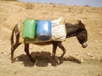 Douar Hedaïdia : Les citoyens dénoncent l'absence d'eau et d'électricité